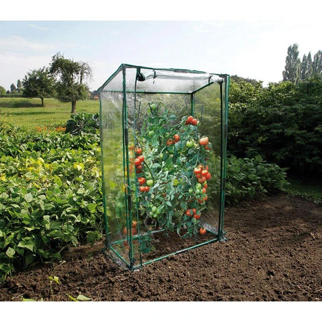 DIRECT FILET Serre Transparente Pour Cultures Grimpantes 3 DIRECT FILET Serre Transparente Pour Cultures Grimpantes