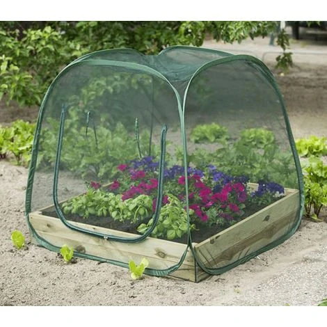 DIRECT FILET Filet Anti-insecte Pop-up Pour Carré Potager 3 DIRECT FILET Filet Anti-insecte Pop-up Pour Carré Potager