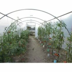 ATOUT LOISIR Serre Tunnel PRO-450 Larg 4.50 M, L 4 M, Façade 1 Porte Simple Et 1 Façade Pleine 6 ATOUT LOISIR Serre Tunnel PRO-450 Larg 4.50 M, L 4 M, Façade 1 Porte Simple Et 1 Façade Pleine -France Serre de jardin Soldes 2022 15011886 2