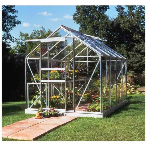 HALLS Serre En Verre Horticole Popular 86 - 5 M², Couleur Silver, Base Sans Base - Silver 5 HALLS Serre En Verre Horticole Popular 86 - 5 M², Couleur Silver, Base Sans Base - Silver – Image 3