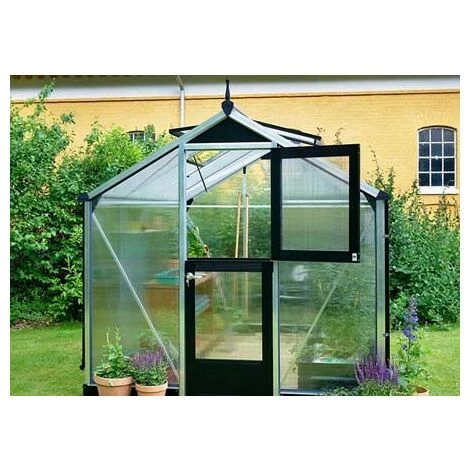 JULIANA Serre Polycarbonate Compact 5 M², Couleur Silver, Base Sans Base - Silver 4 JULIANA Serre Polycarbonate Compact 5 M², Couleur Silver, Base Sans Base - Silver – Image 2