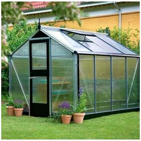 JULIANA Serre Polycarbonate Compact 5 M², Couleur Silver, Base Sans Base - Silver 6 JULIANA Serre Polycarbonate Compact 5 M², Couleur Silver, Base Sans Base - Silver – Image 4