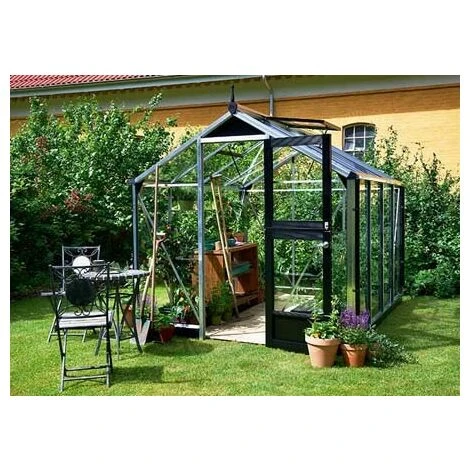 JULIANA Serre En Verre Trempé Compact 6,6m² , Couleur Silver, Base Sans Base - Silver 3 JULIANA Serre En Verre Trempé Compact 6,6m² , Couleur Silver, Base Sans Base - Silver