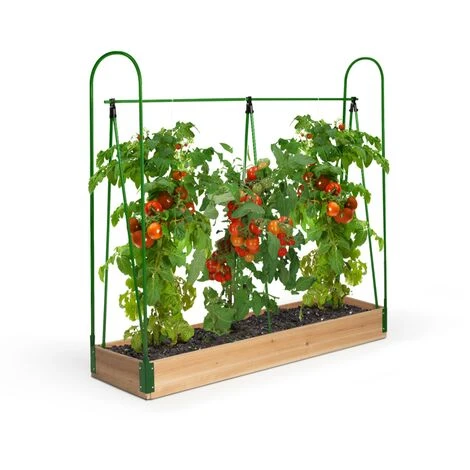 IDMARKET Serre à Tomates Spéciale Croissance Kit Complet Bâche + Support 7 IDMARKET Serre à Tomates Spéciale Croissance Kit Complet Bâche + Support – Image 5