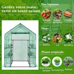 COSTWAY Serre De Jardin 3,9㎡avec Porte à Fermeture Enroulable Fenêtres D'Observation Bâche En PVC 8 Étagères 142 X 142 X 195 Cm Vert -France Serre de jardin Soldes 2022 30137462 3