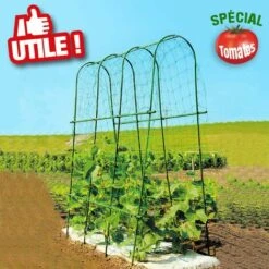 OUTIROR Serre à Tomates Avec Arceaux Et Filet De Protection - Longueur 1,80 Mètres 7 OUTIROR Serre à Tomates Avec Arceaux Et Filet De Protection - Longueur 1,80 Mètres -France Serre de jardin Soldes 2022 30491607 3