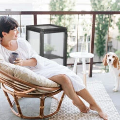 Relaxdays Serre Bois Balcon, Bois & Plastique, HLP: 80 X 36 X 36 Cm, Porte Et Couvercle, Culture Plantes Et Semis, Noir -France Serre de jardin Soldes 2022 32712879 4