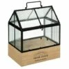 ATMOSPHERA, CRATEUR D'INTRIEUR Serre D'Intérieur "Green House" 30cm Transparent 2 ATMOSPHERA, CRATEUR D'INTRIEUR Serre D'Intérieur "Green House" 30cm Transparent -France Serre de jardin Soldes 2022 36890417 1
