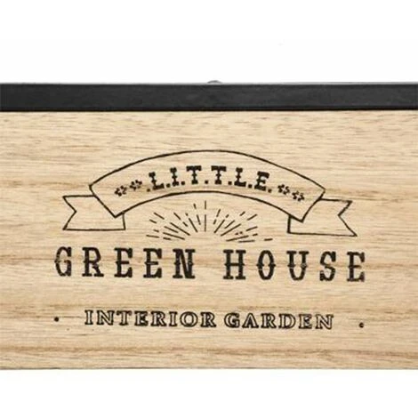 ATMOSPHERA, CRATEUR D'INTRIEUR Serre D'Intérieur "Green House" 30cm Transparent 6 ATMOSPHERA, CRATEUR D'INTRIEUR Serre D'Intérieur "Green House" 30cm Transparent – Image 4