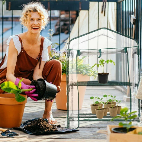 Relaxdays Serre De Balcon, Métal Et Plastique, H X L X P : 95 X 69 X 49 Cm, Taille Compacte, Verte/transparente 5 Relaxdays Serre De Balcon, Métal Et Plastique, H X L X P : 95 X 69 X 49 Cm, Taille Compacte, Verte/transparente – Image 3