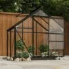 VidaXL Serre En Verre Anthracite 155x103x191 Cm Aluminium - Anthracite