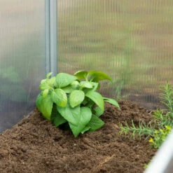 Relaxdays Serre De Jardin Aluminium, à Emboîter, Transparent, Protection Anti-UV, Mini, HxLxP : 100 X 50 X 50 Cm -France Serre de jardin Soldes 2022 50728072 3