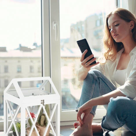 Relaxdays Mini Serre Intérieur Pour Le Rebord De Fenêtre, En Verre Et MDF, Herbes, Fleurs, HLP: 40x30x22,5 Cm, Blanc 6 Relaxdays Mini Serre Intérieur Pour Le Rebord De Fenêtre, En Verre Et MDF, Herbes, Fleurs, HLP: 40x30x22,5 Cm, Blanc – Image 4