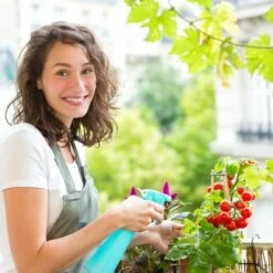 JARDIBRICODECO Serre De Jardin Transparente 9 JARDIBRICODECO Serre De Jardin Transparente -France Serre de jardin Soldes 2022 55316119 3