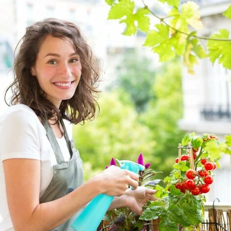 JARDIBRICODECO Serre De Jardin Transparente 5 JARDIBRICODECO Serre De Jardin Transparente – Image 3