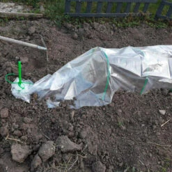 RONDY Serre Tunnel De Forçage 3.7 M 8 RONDY Serre Tunnel De Forçage 3.7 M -France Serre de jardin Soldes 2022 57136592 2