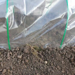 RONDY Serre Tunnel De Forçage 3.7 M 10 RONDY Serre Tunnel De Forçage 3.7 M -France Serre de jardin Soldes 2022 57136592 4