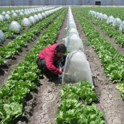 MACARON Mini Serre De Jardin En Plastqiue, Tente Végétale Insecte Abri Pilable, Petite Couverture Plante Intérieure Extérieure 22 * 22 * 28 Pouces(Blanc)LO-Ron 11 MACARON Mini Serre De Jardin En Plastqiue, Tente Végétale Insecte Abri Pilable, Petite Couverture Plante Intérieure Extérieure 22 * 22 * 28 Pouces(Blanc)LO-Ron -France Serre de jardin Soldes 2022 57139623 5