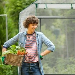 MACARON Serre De Jardin Serre Tomates Étagères Tunnel Tente Plantes Hxlxp: 190x143x143cm, Transparent Film De Serre à Capot Transparent PEPVC Sans Cadre LO-Ron 11 MACARON Serre De Jardin Serre Tomates Étagères Tunnel Tente Plantes Hxlxp: 190x143x143cm, Transparent Film De Serre à Capot Transparent PEPVC Sans Cadre LO-Ron -France Serre de jardin Soldes 2022 57139640 5