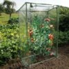 INLIFE Nature Serre à Tomates Avec Fermeture éclair Et Attaches Serre De Jardin PVC 100x50x150 Cm 1 INLIFE Nature Serre à Tomates Avec Fermeture éclair Et Attaches Serre De Jardin PVC 100x50x150 Cm -France Serre de jardin Soldes 2022 57884144 1