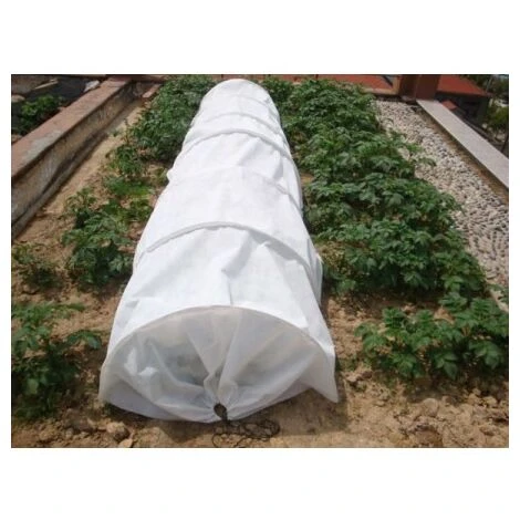 ALTADEX Tunnel Invernadero 3 ALTADEX Tunnel Invernadero