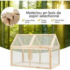 RELAX4LIFE Mini Serre De Jardin En Bois Peint Anti-Corrosion, Serre à Tomate Extérieure Avec 2 Toit Ouvrable Fixable En Panneaux Polycarbonate Isolation Thermique(100×55×70 Cm) -France Serre de jardin Soldes 2022 60464523 5