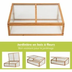 RELAX4LIFE Mini Serre De Jardin En Bois, Serre Extérieure Avec Porte, Plateau Amovible Et Vitrages Transparents Pour Plantes Et Fleurs, Protection Contre Pluie Et Vent (100×65×40 Cm) -France Serre de jardin Soldes 2022 60464565 3