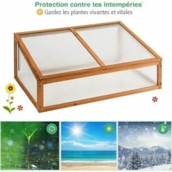 RELAX4LIFE Mini Serre De Jardin En Bois, Serre Extérieure Avec Porte, Plateau Amovible Et Vitrages Transparents Pour Plantes Et Fleurs, Protection Contre Pluie Et Vent (100×65×40 Cm) -France Serre de jardin Soldes 2022 60464565 5