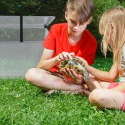 Relaxdays Serre En Aluminium, Jardin, Pour Jeunes Plants, HxLxP : 40x100x60cm, Perméable Aux UVs, Potager, Transparent -France Serre de jardin Soldes 2022 60563813 4