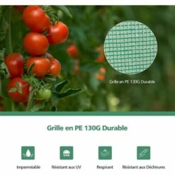 COSTWAY Serre De Jardin Portable-100 Cm X 50 Cm X 170 Cm Avec Porte à Glissière Enroulable-2 Sangles Housse En Plastique PE -France Serre de jardin Soldes 2022 61219964 4