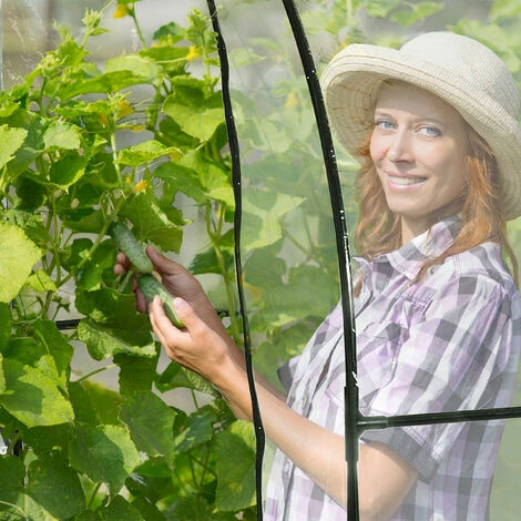 Relaxdays Serre De Jardin Pour Tomates, Bâche PVC, Facilement Accessible, HxLxP : 215 X 200 X 100 Cm, Transparent/noir 6 Relaxdays Serre De Jardin Pour Tomates, Bâche PVC, Facilement Accessible, HxLxP : 215 X 200 X 100 Cm, Transparent/noir – Image 4