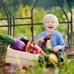 Relaxdays Serre De Jardin 2 Portes, Bâche En PVC, Pour Vos Plantations Précoces, HxLxP : 92 X 180 X 92 cm; Transparent 10 Relaxdays Serre De Jardin 2 Portes, Bâche En PVC, Pour Vos Plantations Précoces, HxLxP : 92 X 180 X 92 cm; Transparent -France Serre de jardin Soldes 2022 61314003 4