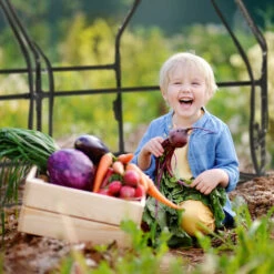 Relaxdays Serre De Jardin, Large Porte, Bâche PVC Pour Vos Plantations Précoces, HxLxP : 94 X 180 X 140 Cm, Transparent 10 Relaxdays Serre De Jardin, Large Porte, Bâche PVC Pour Vos Plantations Précoces, HxLxP : 94 X 180 X 140 Cm, Transparent -France Serre de jardin Soldes 2022 61314043 4