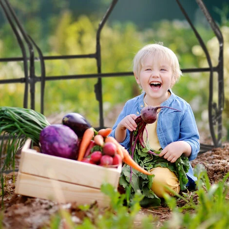Relaxdays Serre De Jardin, Large Porte, Bâche PVC Pour Vos Plantations Précoces, HxLxP : 94 X 180 X 140 Cm, Transparent 6 Relaxdays Serre De Jardin, Large Porte, Bâche PVC Pour Vos Plantations Précoces, HxLxP : 94 X 180 X 140 Cm, Transparent – Image 4