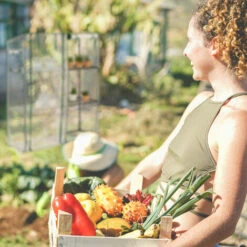 Relaxdays Petite Serre, 4 étagères, 2 Portes Et Fenêtres, Toit Incliné, En PE, HxLxP : 162 X 143 X 46 Cm, Blanc -France Serre de jardin Soldes 2022 61314105 4