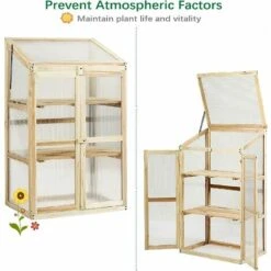 GIANTEX Serre De Jardin En Bois De Sapin, Mini Serre Balcon Pour Plantes, Serre Solide En Polycarbonate Transparent,avec Lumière Appropriée,pour Balcon Jardin Terrasse, Naturelle (60x45x100CM) 9 GIANTEX Serre De Jardin En Bois De Sapin, Mini Serre Balcon Pour Plantes, Serre Solide En Polycarbonate Transparent,avec Lumière Appropriée,pour Balcon Jardin Terrasse, Naturelle (60x45x100CM) -France Serre de jardin Soldes 2022 63737916 3