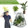 MALLOMNE Serre De Protection Hivernale De Tente D'hivernage De Mini-serre -France Serre de jardin Soldes 2022 64055194 1