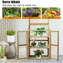 RELAX4LIFE Mini Serre De Jardin En Bois Peint Anti-Corrosion, Serre à Tomate Extérieur 3 Étagères Avec Porte Double Toit Ouvrable Fixable, Vitrages Polycarbonate Isolation Thermique(60×45×100 Cm) -France Serre de jardin Soldes 2022 64130137 3
