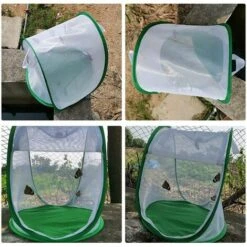 MONLY Mini Tente De Serre Végétale Avec Couverture Transparente Protégée Plante Cultiver La Maison, Portable Pliant Jardinage Plante Couverture Protecteur Net Observation Insecte Cage Papillon Cage -France Serre de jardin Soldes 2022 64453547 3