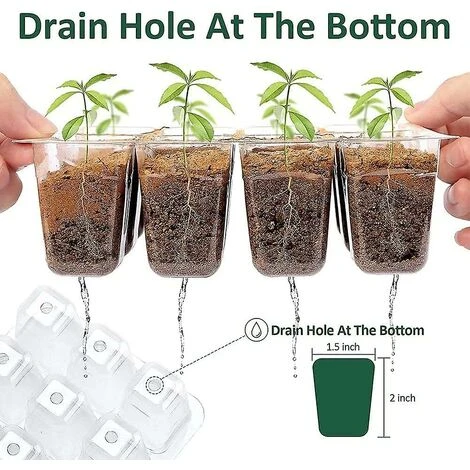 Cisea Mini Serre Pour Plantes, Plateau De Semis Intérieur 10 Pièces 120 Cellules Avec Couvercles Surélevés, Plateau De Semis, 20 étiquettes, 2 Outils 6 Cisea Mini Serre Pour Plantes, Plateau De Semis Intérieur 10 Pièces 120 Cellules Avec Couvercles Surélevés, Plateau De Semis, 20 étiquettes, 2 Outils – Image 4