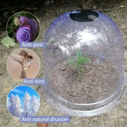OYLDA 6 Packs De Couvercles De Cloche En Plastique Pour Protéger Les Plantes De L'humidité, 10" De Diamètre X 7,5" De Hauteur, Mini-serre -France Serre de jardin Soldes 2022 68138301 4